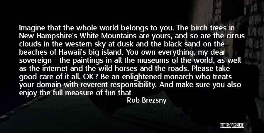 Black Clouds Quotes By Rob Brezsny