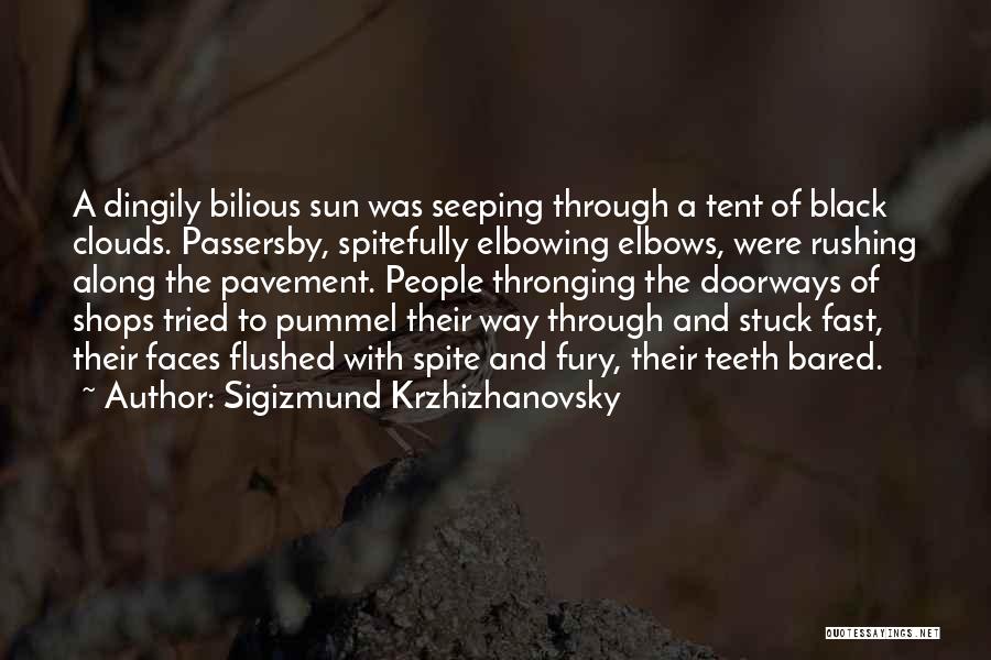 Black Clouds Quotes By Sigizmund Krzhizhanovsky