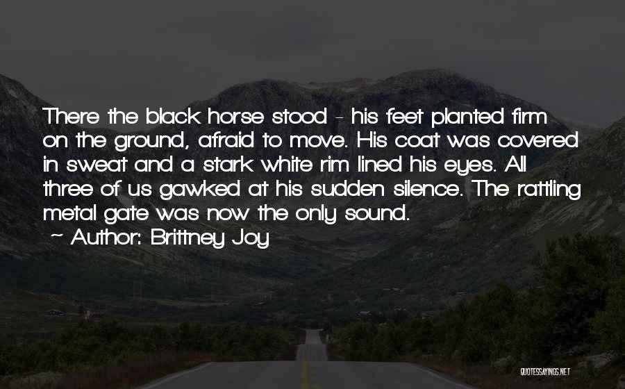 Black Coat Quotes By Brittney Joy