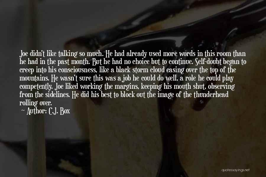 Black Consciousness Quotes By C.J. Box