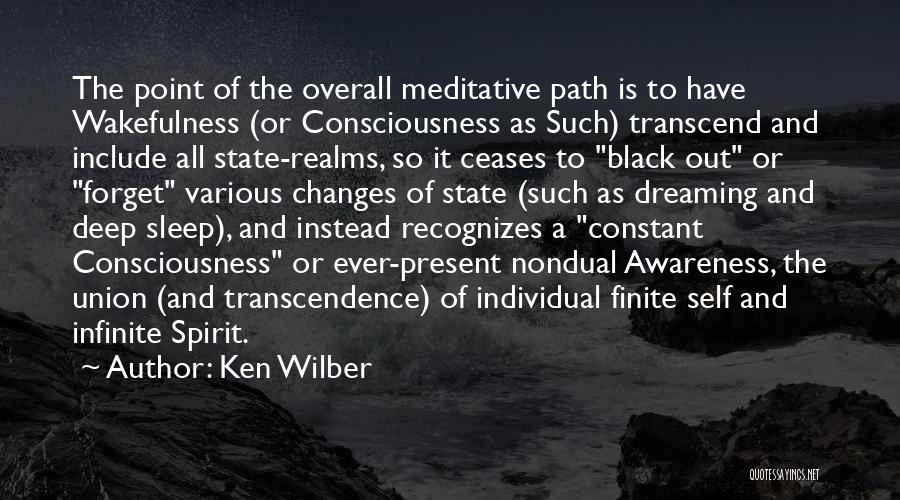 Black Consciousness Quotes By Ken Wilber