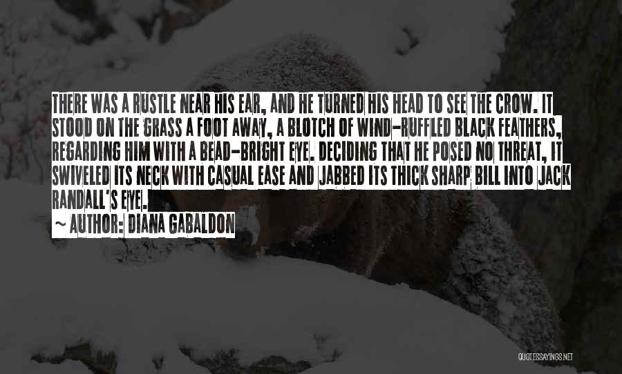 Black Crow Quotes By Diana Gabaldon