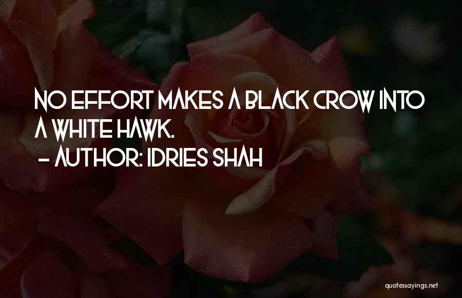 Black Crow Quotes By Idries Shah