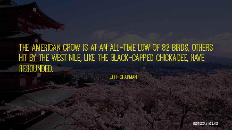 Black Crow Quotes By Jeff Chapman