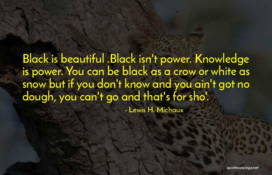 Black Crow Quotes By Lewis H. Michaux