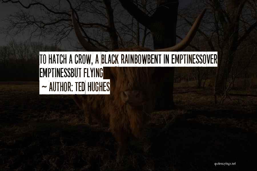 Black Crow Quotes By Ted Hughes