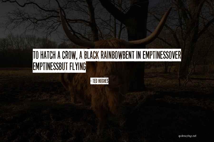 Black Crow Quotes By Ted Hughes