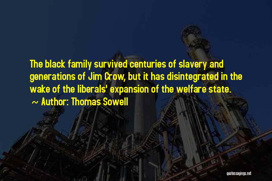 Black Crow Quotes By Thomas Sowell