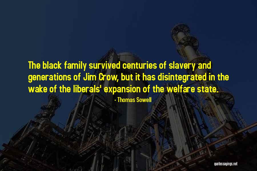 Black Crow Quotes By Thomas Sowell