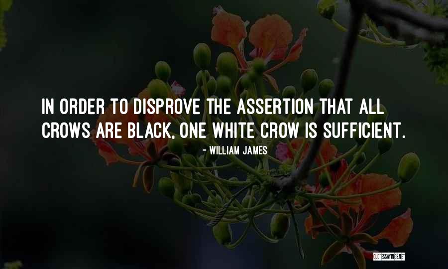 Black Crow Quotes By William James