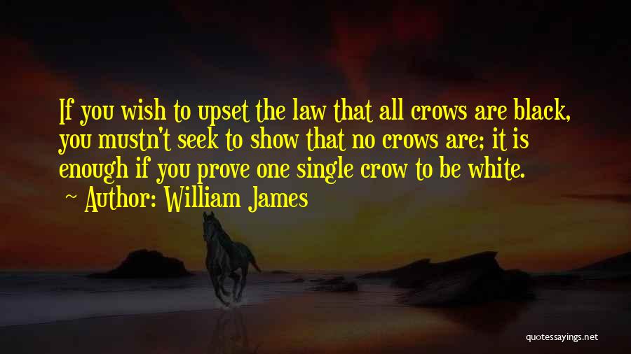 Black Crow Quotes By William James