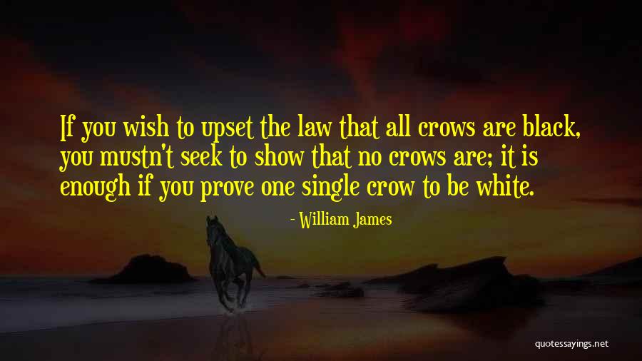 Black Crow Quotes By William James