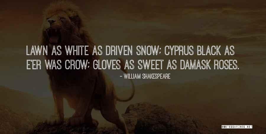 Black Crow Quotes By William Shakespeare