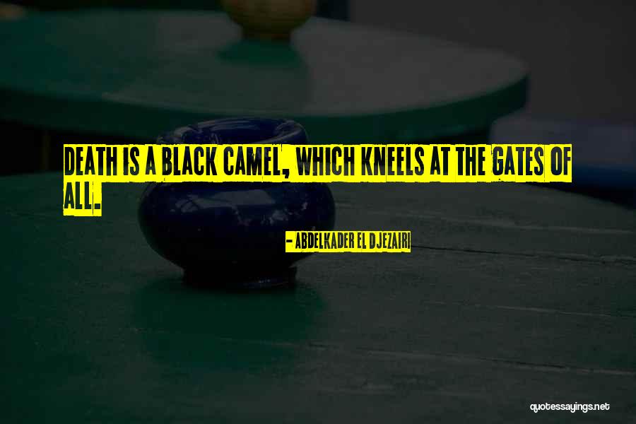 Black Death Quotes By Abdelkader El Djezairi Black Death Quotes By Abdelkader El Djezairi