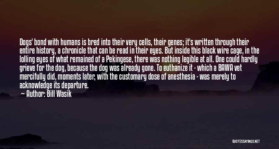 Black Dogs Quotes By Bill Wasik