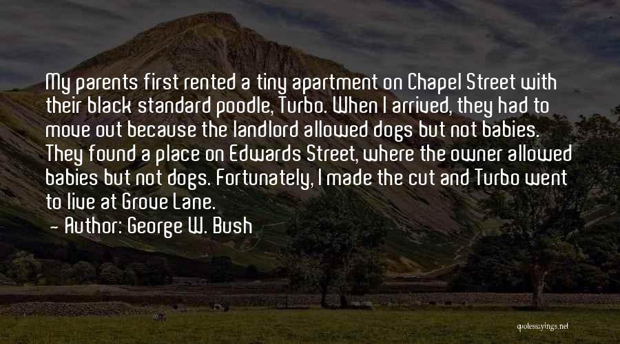 Black Dogs Quotes By George W. Bush