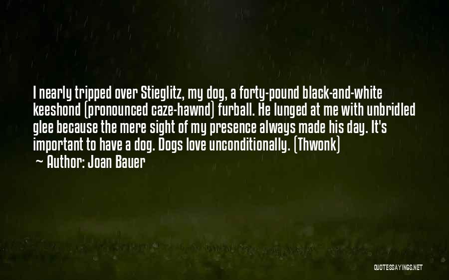 Black Dogs Quotes By Joan Bauer