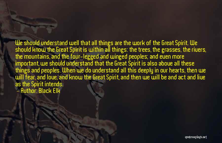 Black Elk Quotes 2002624