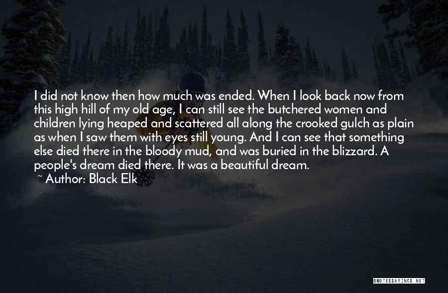 Black Elk Quotes 231491