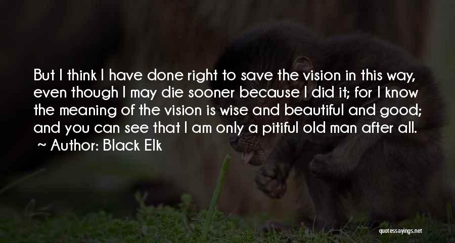 Black Elk Quotes 601113