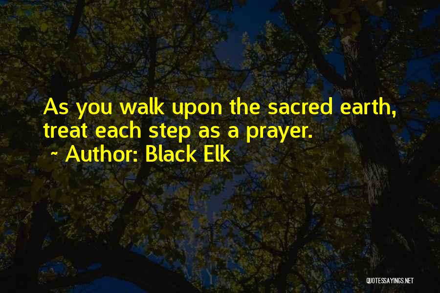 Black Elk Quotes 639012