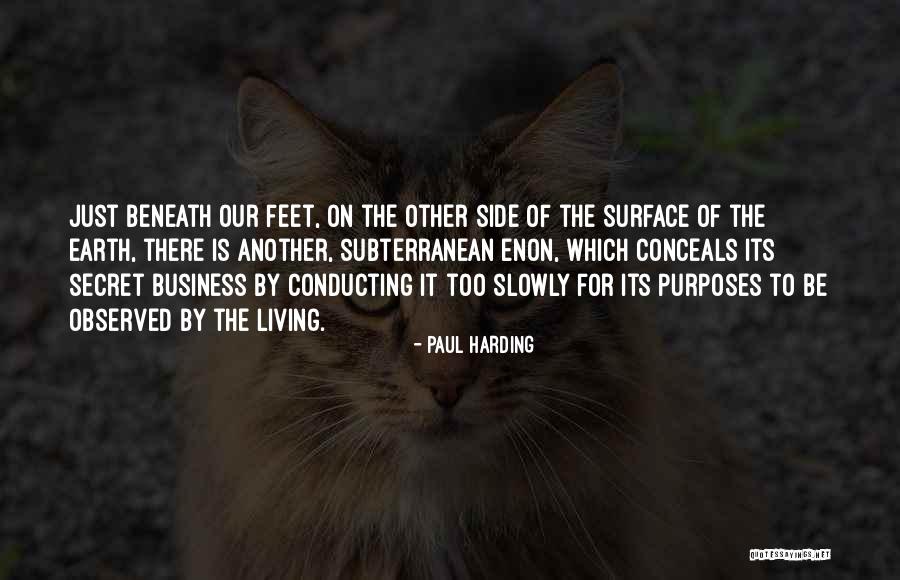 Black Entertainer Quotes By Paul Harding Black Entertainer Quotes By Paul Harding