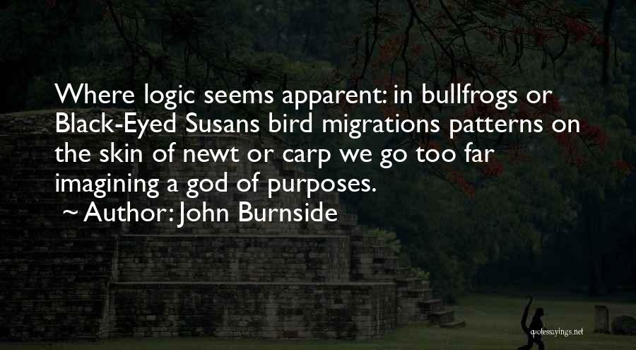 Black Eyed Susans Quotes By John Burnside