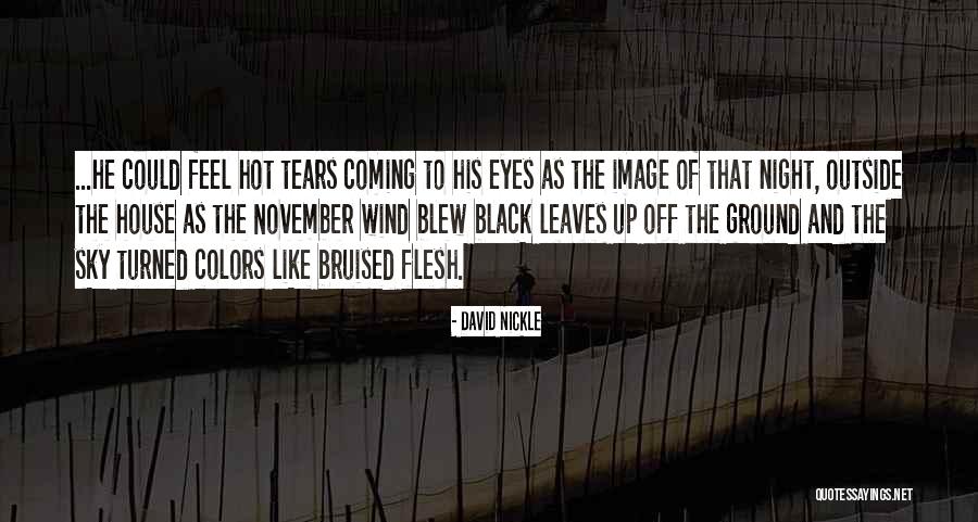 Black Eyes Quotes By David Nickle