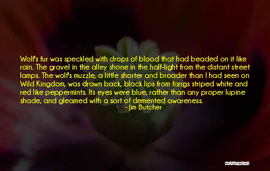 Black Eyes Quotes By Jim Butcher