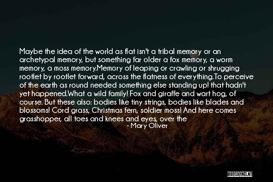 Black Family Quotes By Mary Oliver Black Family Quotes By Mary Oliver