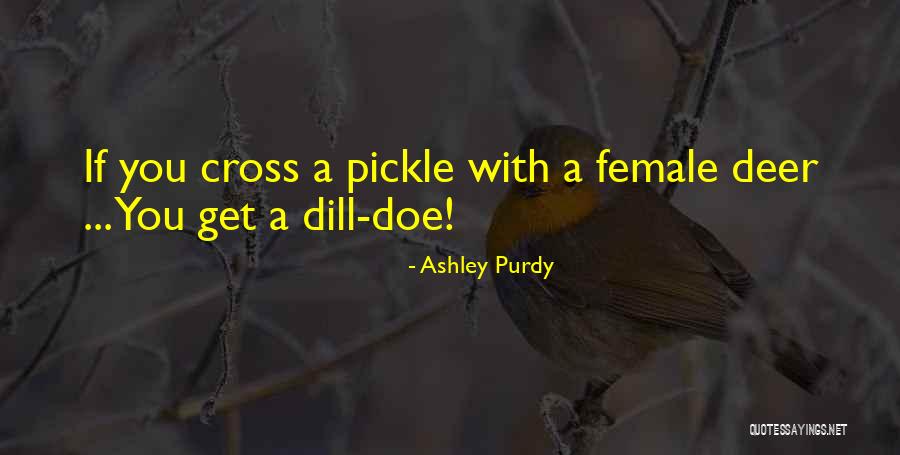 Black Female Quotes By Ashley Purdy Black Female Quotes By Ashley Purdy