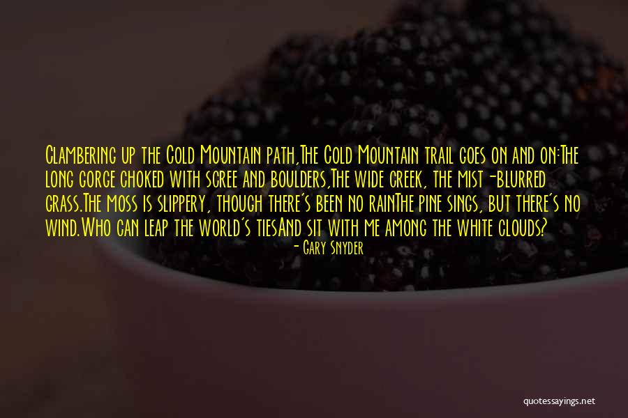Black Filmmaker Quotes By Gary Snyder Black Filmmaker Quotes By Gary Snyder