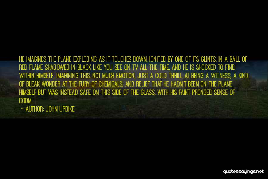 Black Flame Quotes By John Updike