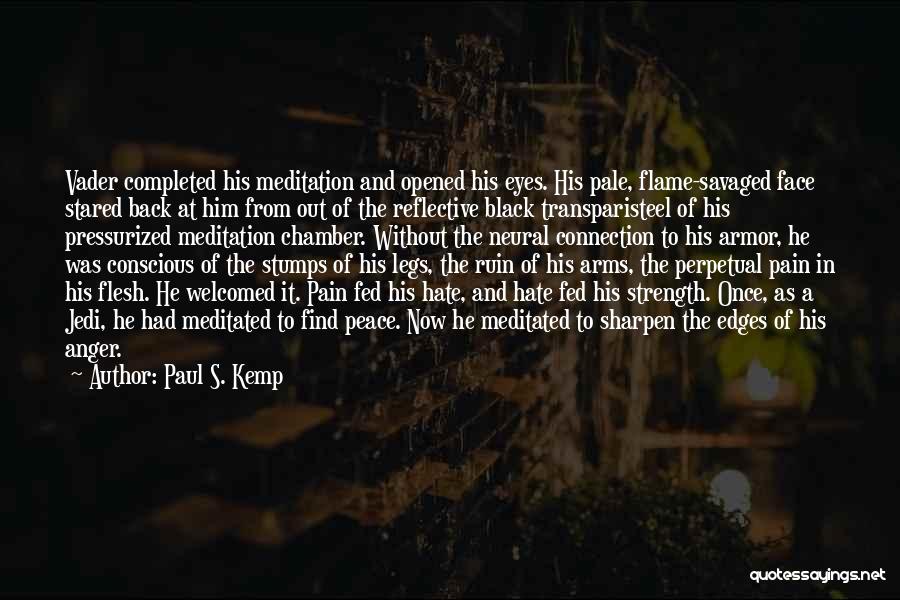 Black Flame Quotes By Paul S. Kemp