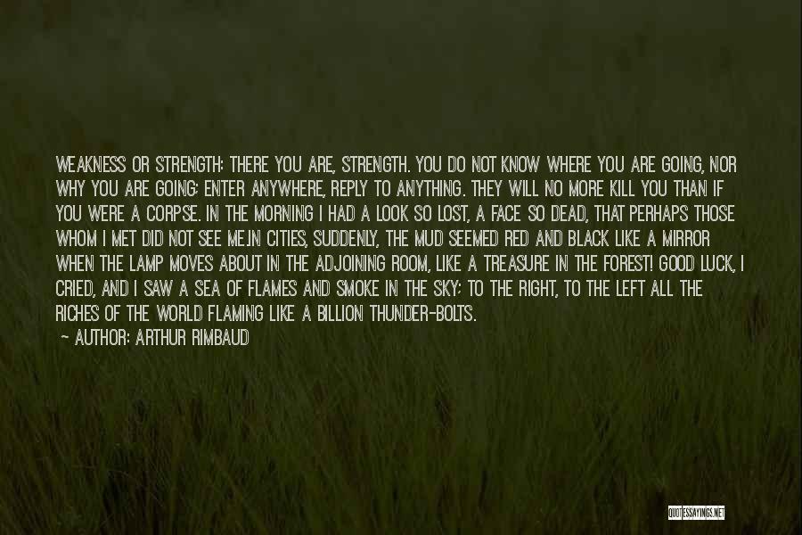 Black Flames Quotes By Arthur Rimbaud