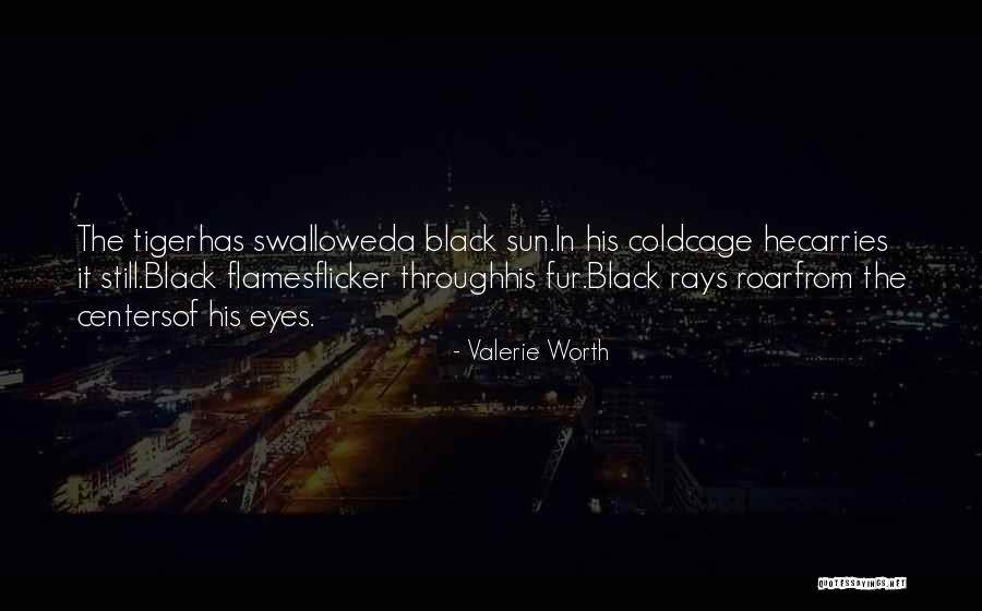 Black Flames Quotes By Valerie Worth