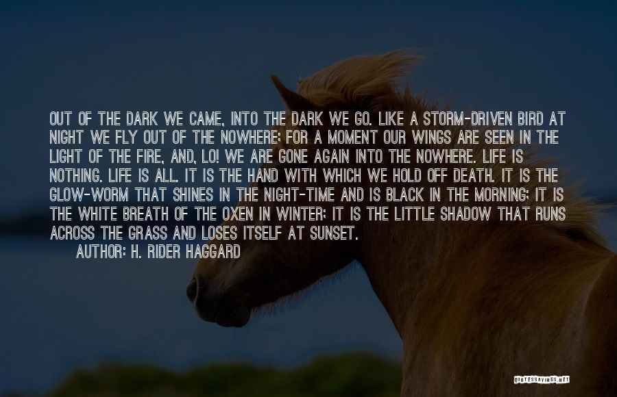 Black Fly Quotes By H. Rider Haggard