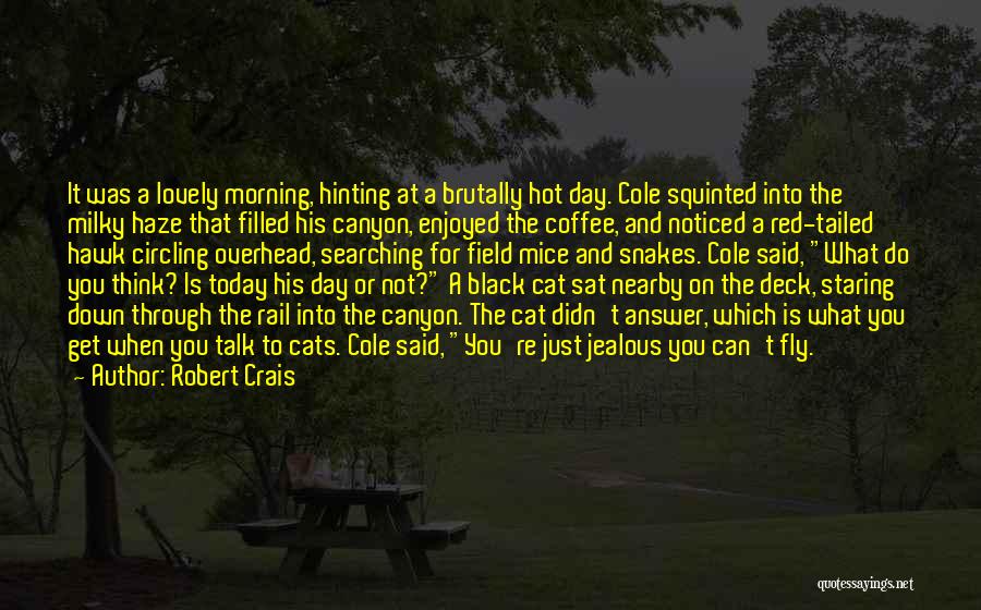 Black Fly Quotes By Robert Crais