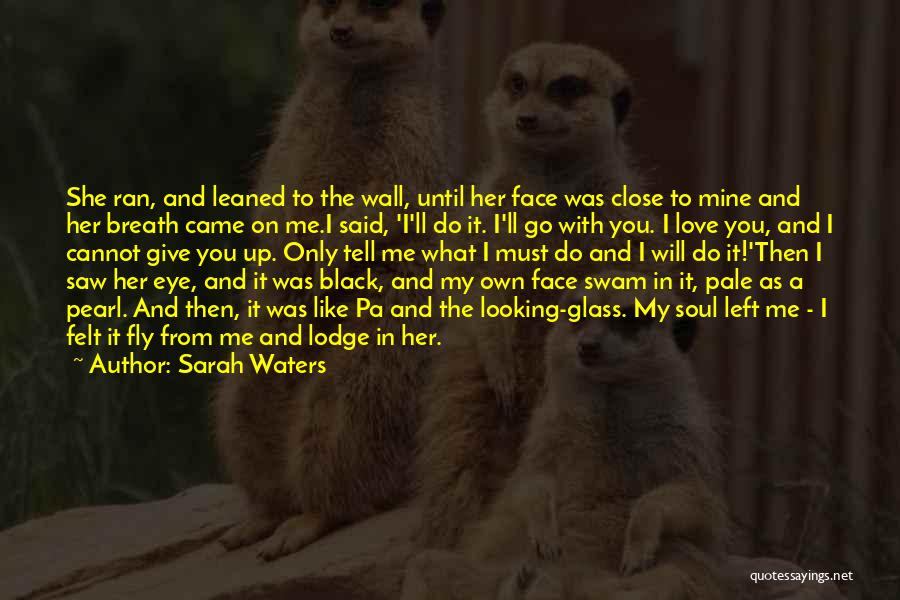 Black Fly Quotes By Sarah Waters