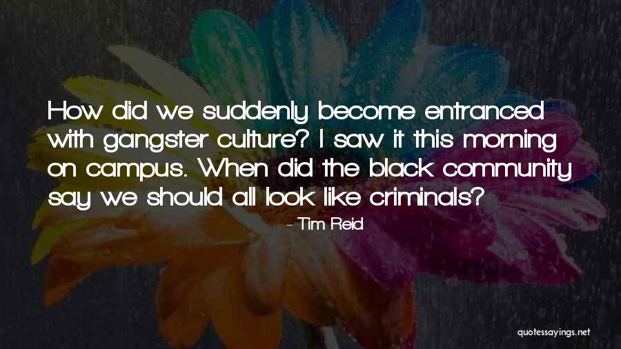 Black Gangster Quotes By Tim Reid Black Gangster Quotes By Tim Reid