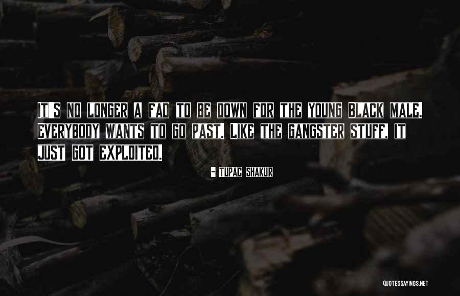 Black Gangster Quotes By Tupac Shakur Black Gangster Quotes By Tupac Shakur