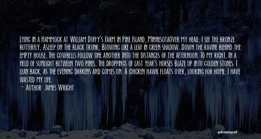 Black Hawk Down Quotes By James Wright