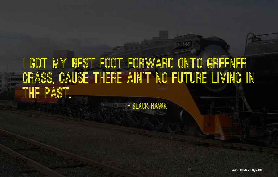 Black Hawk Quotes 1737869 Black Hawk Quotes 1737869