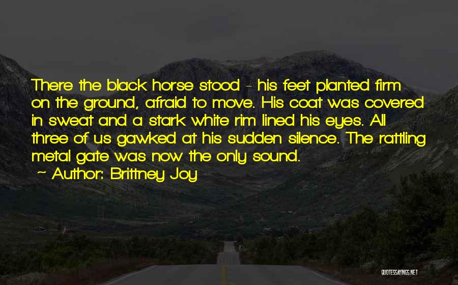 Black Horse Quotes By Brittney Joy