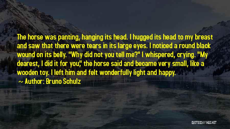 Black Horse Quotes By Bruno Schulz