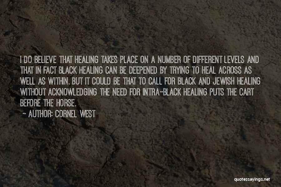 Black Horse Quotes By Cornel West