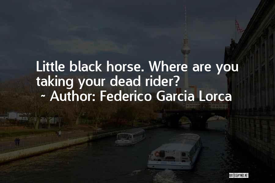 Black Horse Quotes By Federico Garcia Lorca