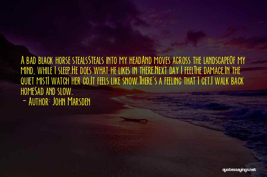 Black Horse Quotes By John Marsden