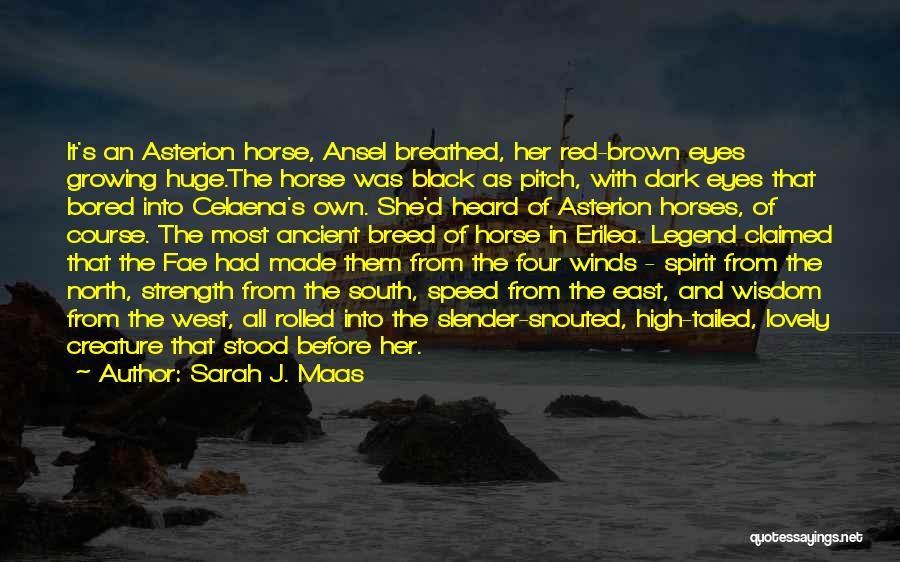 Black Horse Quotes By Sarah J. Maas