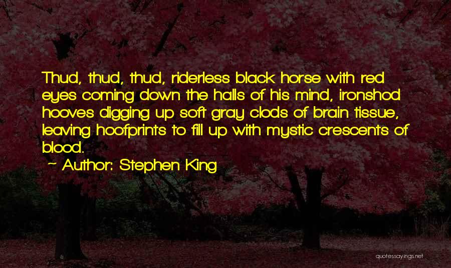 Black Horse Quotes By Stephen King